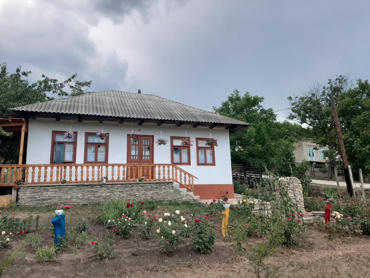 Pensiunea Turistica "Casa Rustica" Villa Chiscareni Exterior photo