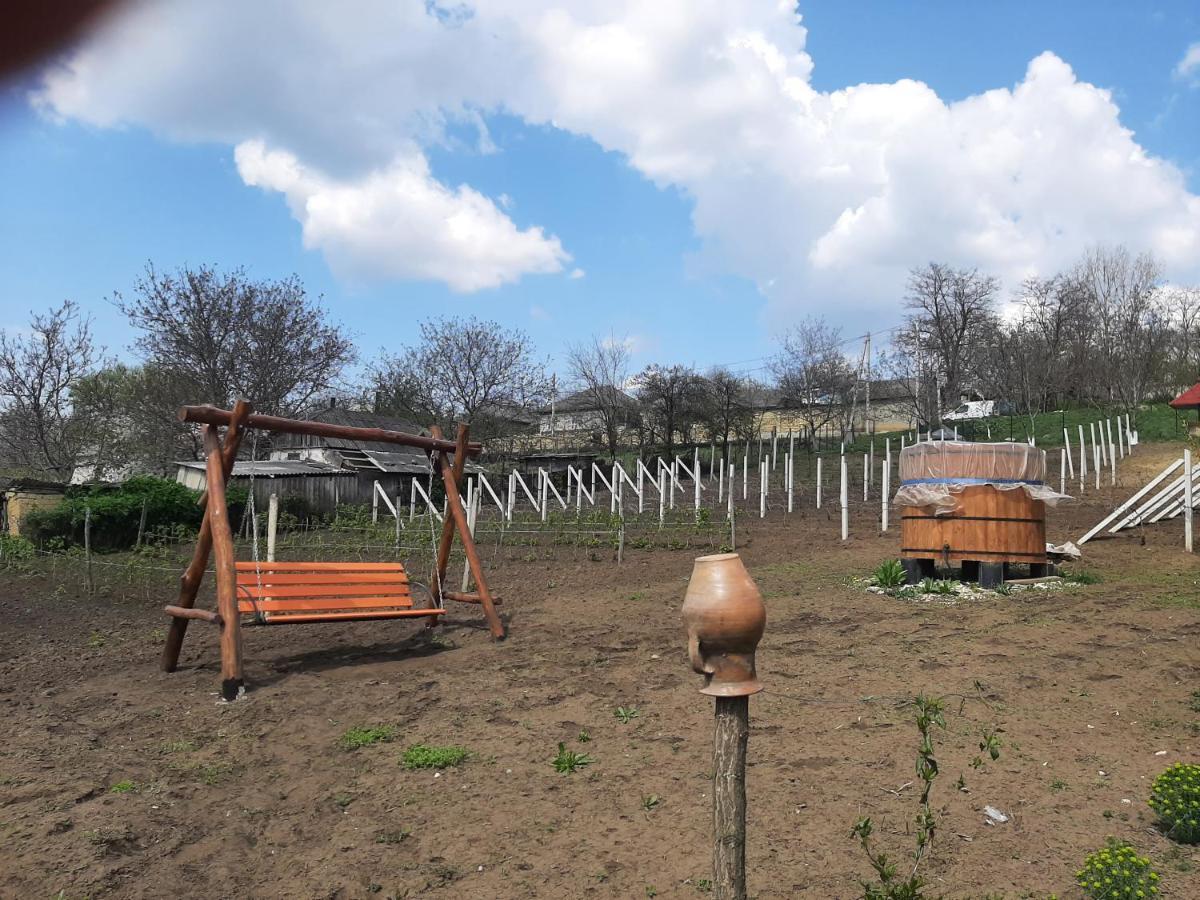 Pensiunea Turistica "Casa Rustica" Villa Chiscareni Exterior photo