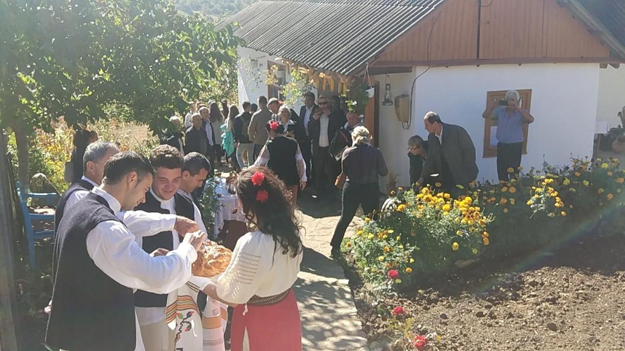 Pensiunea Turistica "Casa Rustica" Villa Chiscareni Exterior photo