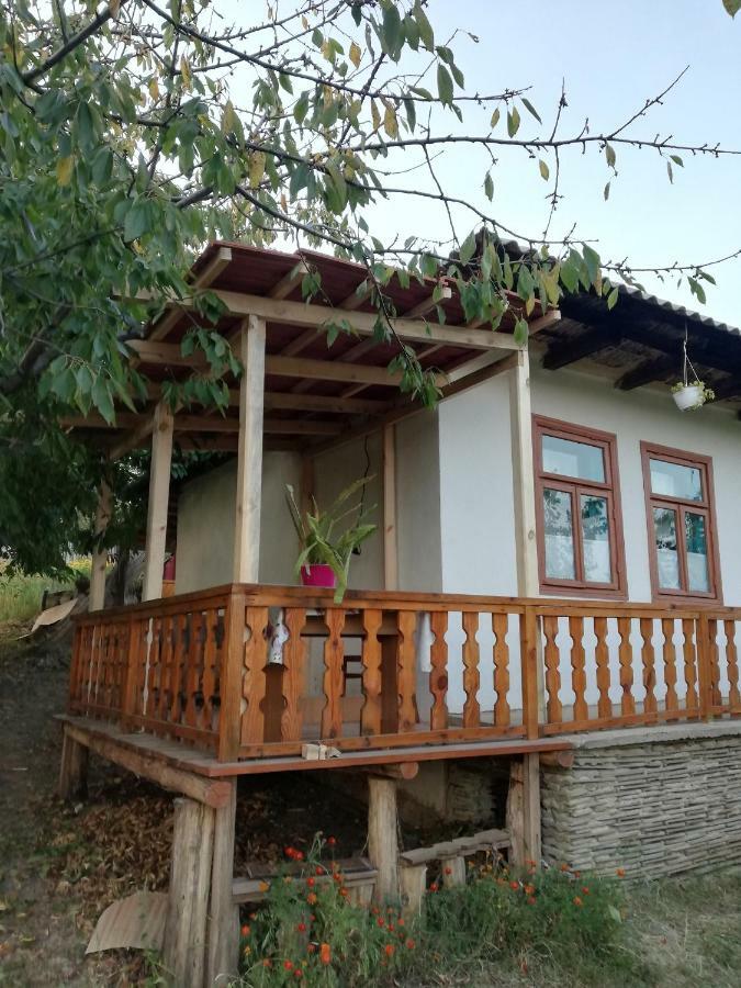 Pensiunea Turistica "Casa Rustica" Villa Chiscareni Exterior photo